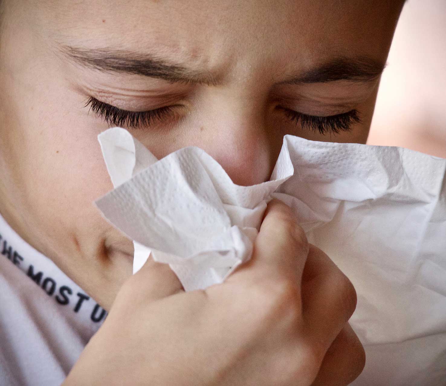 allergisch huisstofmijt