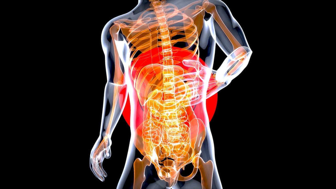 stomach gde469a279 1280 maagzuur